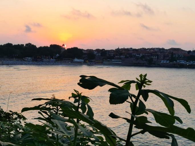 Guest House Dimovi Sozopol Esterno foto